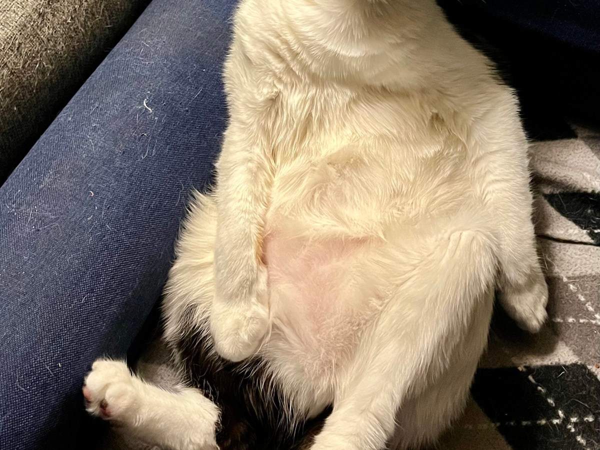 Rethinking My Website